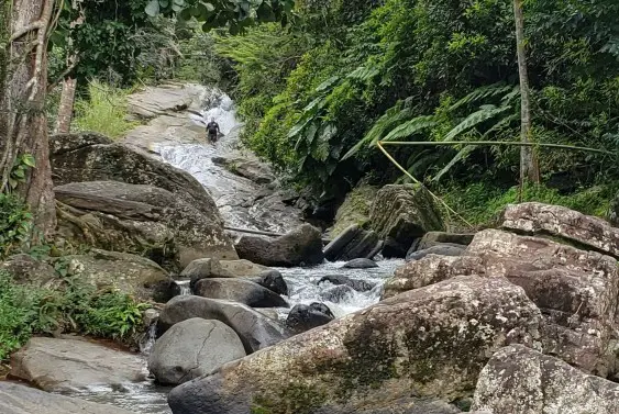 scenery around the natural slide in puerto rico including rocks, running waterfall and green trees and shrubs