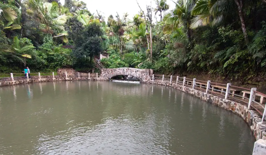 large body of water surrounded by trees and a stone bridge at Bano Grande in El Yunque National Forest