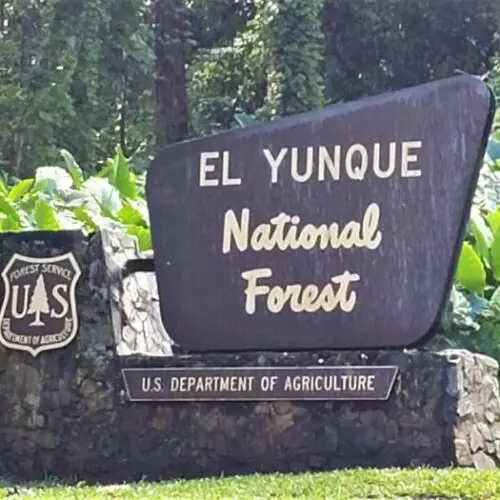 Brown Entrance Sign for El Yunque National Forest