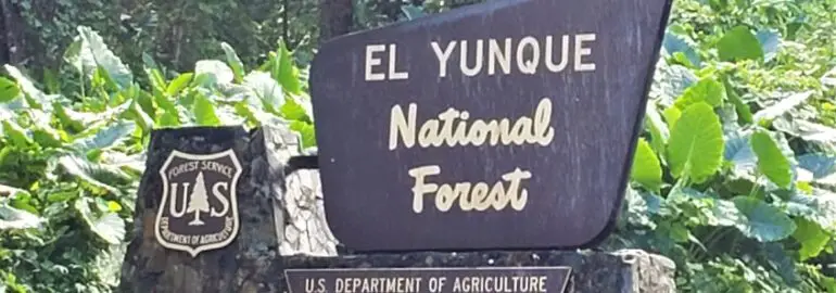 Brown Entrance Sign for El Yunque National Forest
