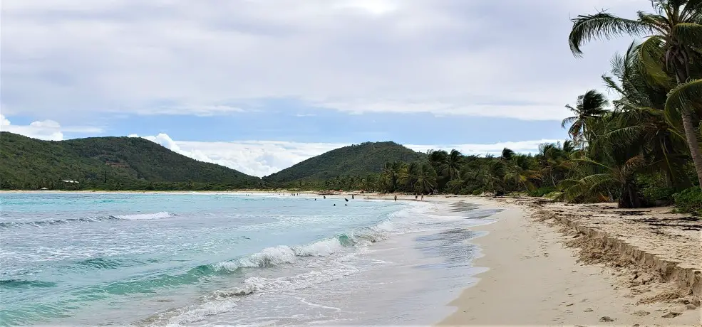 beach and water with palm trees at Flamenco Beach in Culebra Puerto Rico