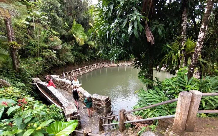 People standing on a trail on a stone bridge while Hiking in El Yunque National Forest