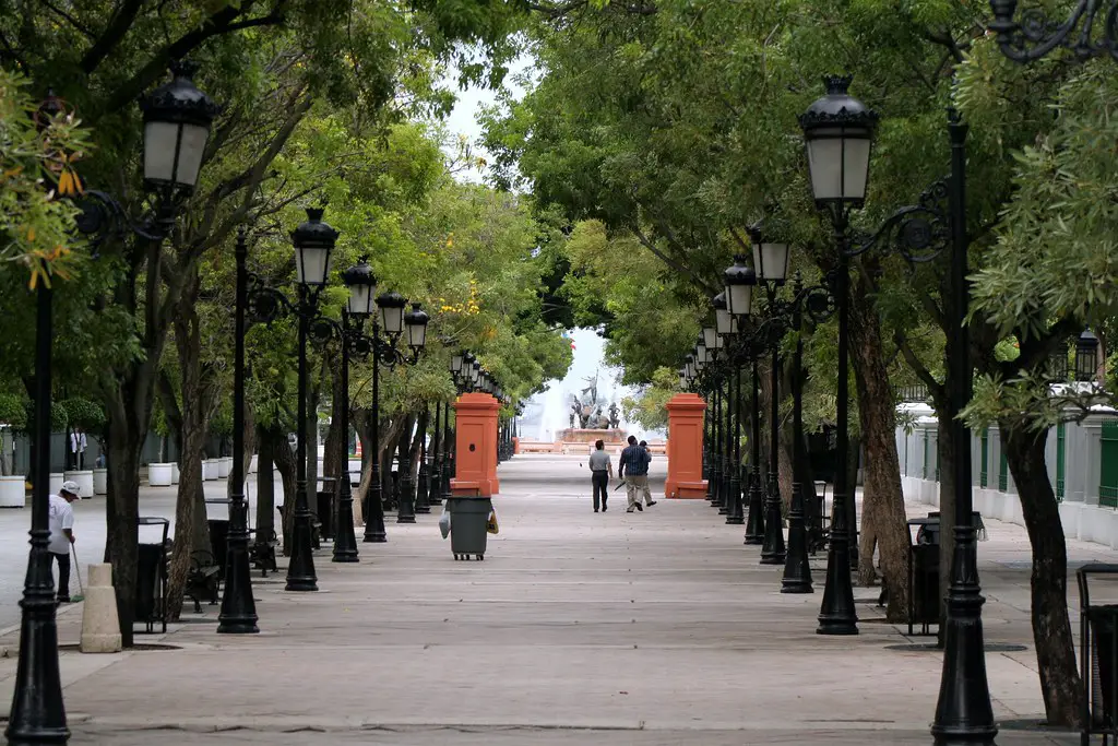 tree-lined walkway leading to a water view Paseo de la Princesa touring during the day in old san juan