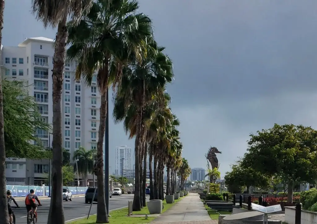 trees lining the side of the road with seahorse sculture in the distance near San Juan Cruise Port Terminal Waterfront in Puerto Rico