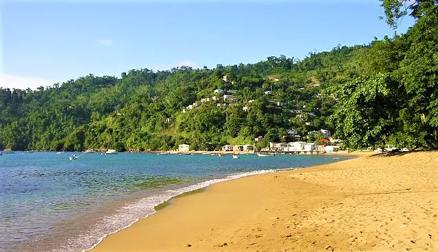 sandy tobago beach with water coming on shore and palm trees in the distance