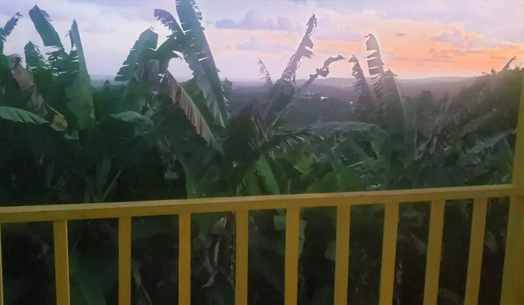 View of green leaves and trees and a sunset from the balcony of our El Yunque Hotel in Puerto Rico