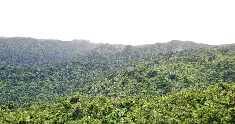 View of El Yunque Rainforest in Puerto Rico