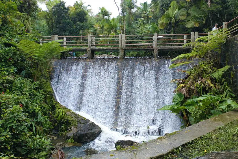 View of a Waterfall in El Yunque National Forest Puerto Rico