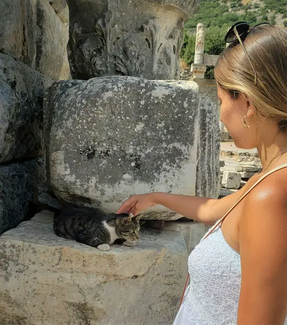 lady petting a cat perched on a rock in Ephesus Turkey