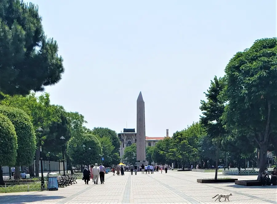 large tower in the distance down a long walkway lined with trees in Istanbul