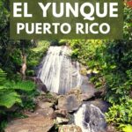 water fall and green nature for the best tours in El Yunque Rainforest