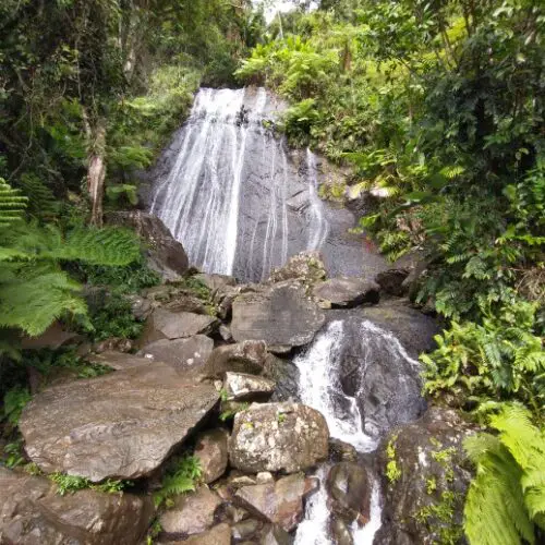 waterfall in the backdrop of scenery on a tour in El Yunque Rainforest