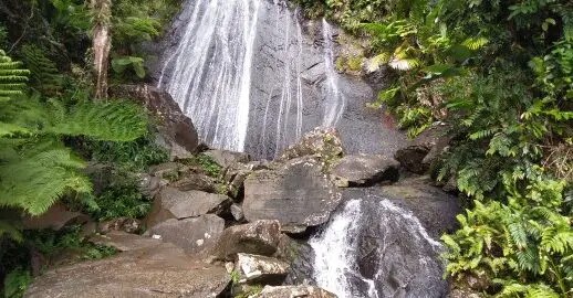 waterfall in the backdrop of scenery on a tour in El Yunque Rainforest