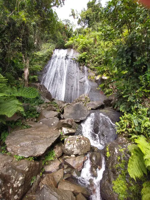 waterfall in the backdrop of scenery on a tour in El Yunque Rainforest
