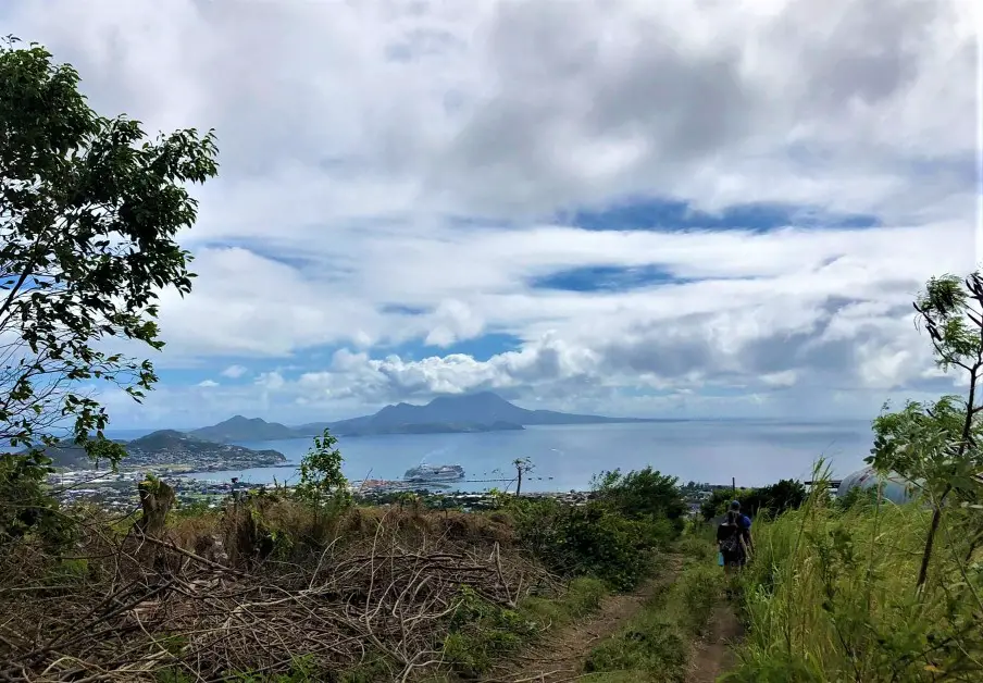 view of trees and water and island on Lawyer Stephens Hike St Kitts