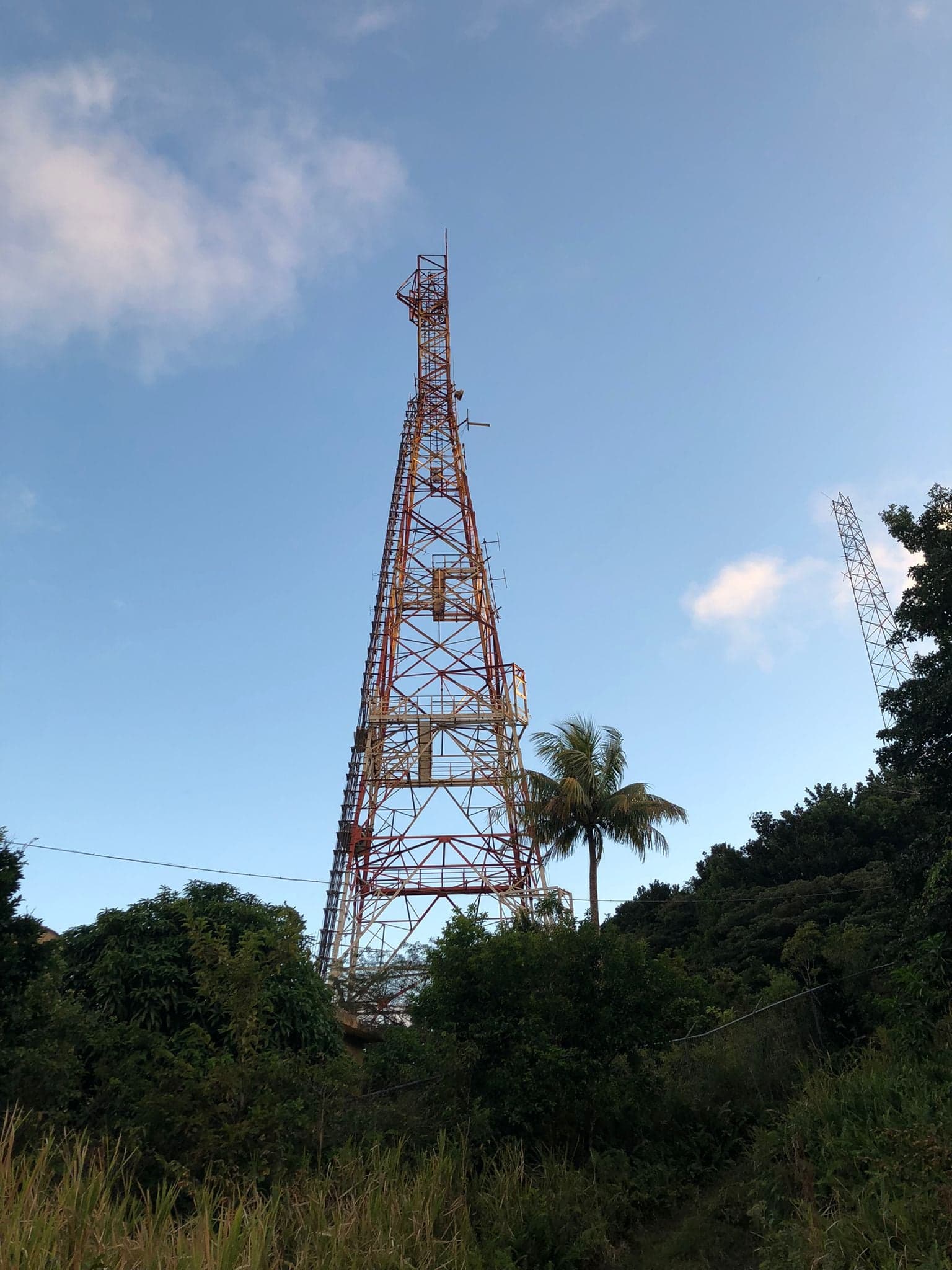 Radio Tower in St Kitts surrounded by trees