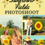 people in nice outfits for a photoshoot in sunflower fields PIN