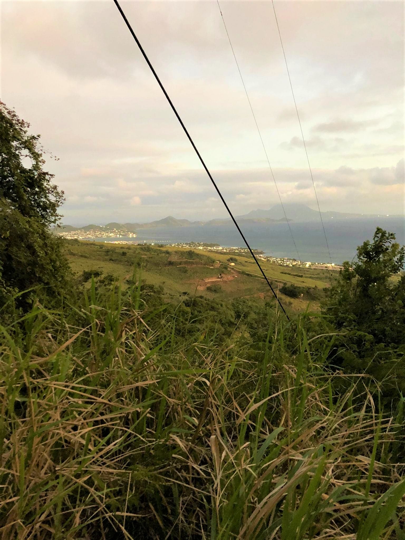 view of trees and water from Radio Tower Hike St Kitts
