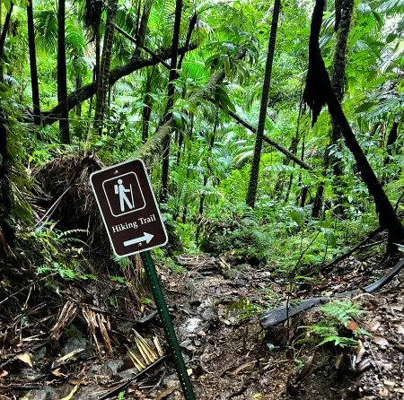 arrow pointing the direction with a hiker Mt Liamuiga volcano hiking trail sign
