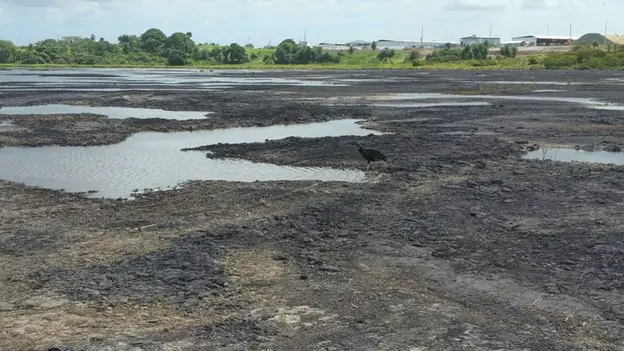 brown and black Pitch Lake largest natural deposit of asphalt in the world in South Trinidad