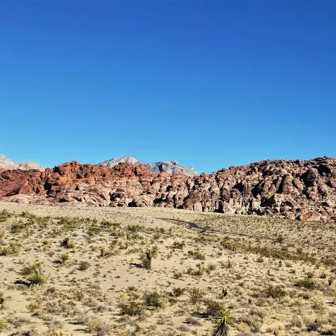 landscape in Nevada - Red Rocks Canyon