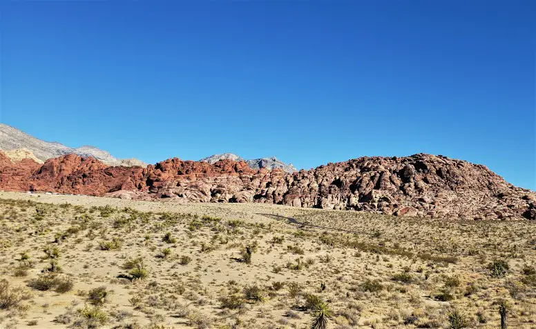 landscape in Nevada - Red Rocks Canyon