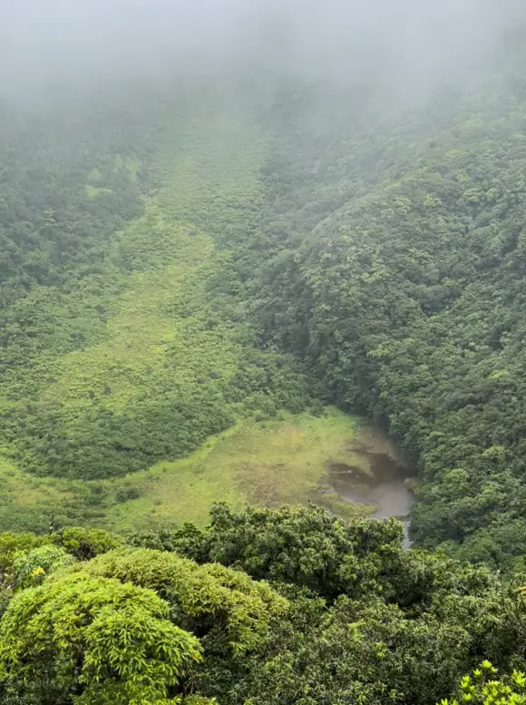 mist and foliage around a lake in crater at the peak of Mt Liamuiga volcano
