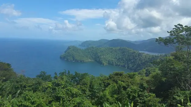 trees on a mountain and blue water in the distance on the Beautiful island of trinidad