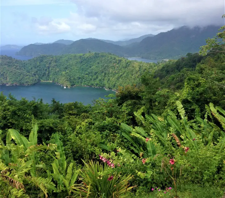 Trinidad outlook onto beaches and green nature