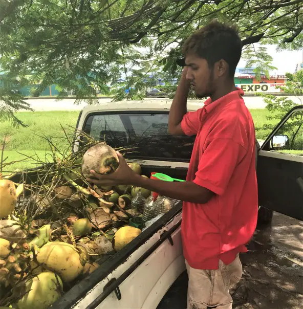 Man chopping the top off of a coconut on the side of the road