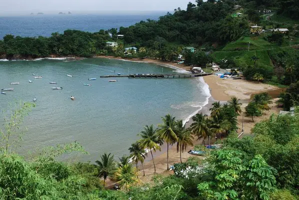 aerial view of beach and water on Tobago Island near Trinidad