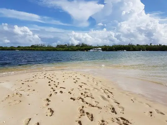 footsteps leading to the water on the sandy beach in trinidad