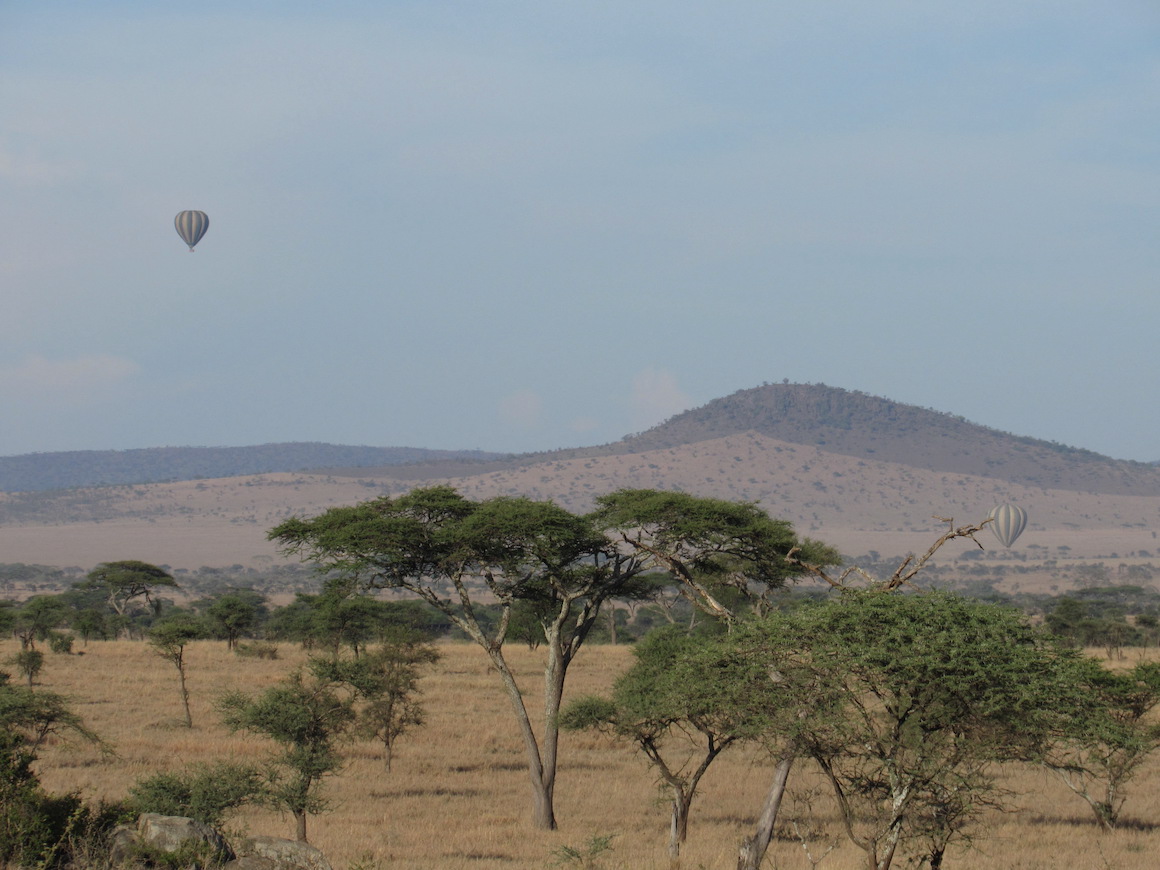 Hot air balloons over the Serengeti