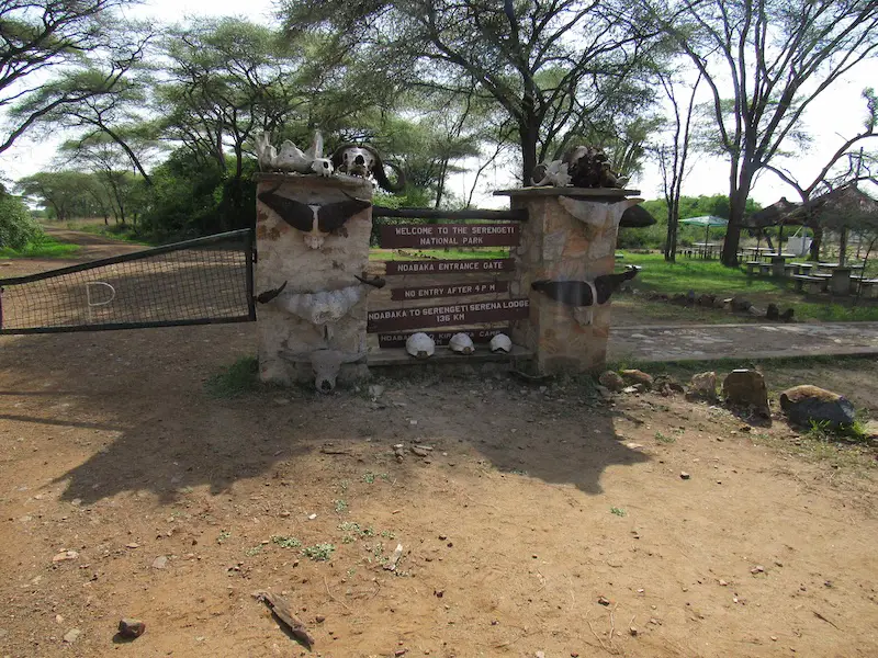 Serengeti gate
