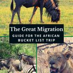 All the Facts about the Great Migration in Africa 1 The Great Migration 1