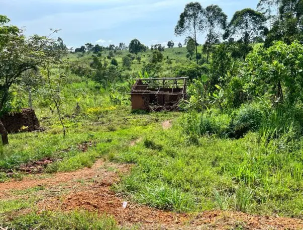 shack in the middle of wilderness in Uganda