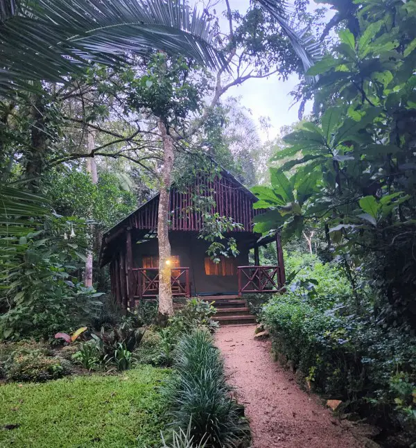 outside of Kibale Forest Camp Lodge with trees around it