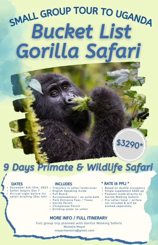 details for a trip to Uganda for a gorilla trek