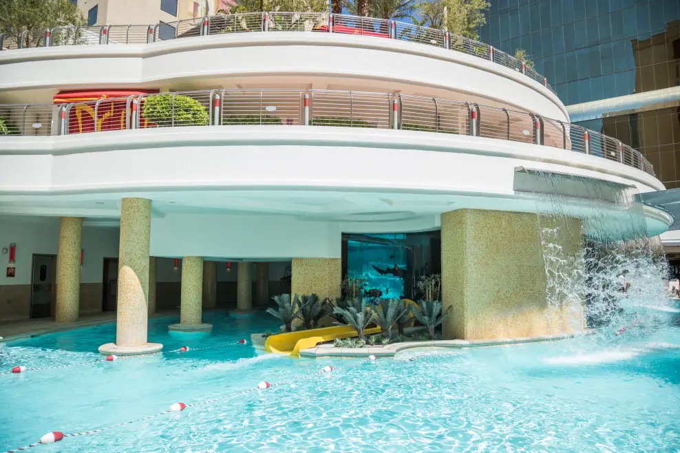 an adventurous slide through a shark tank in Las Vegas