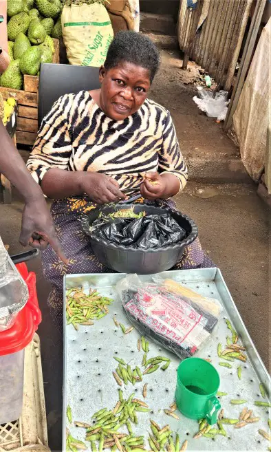 lady with a knife preparing grasshopper snack over a large metal bowl