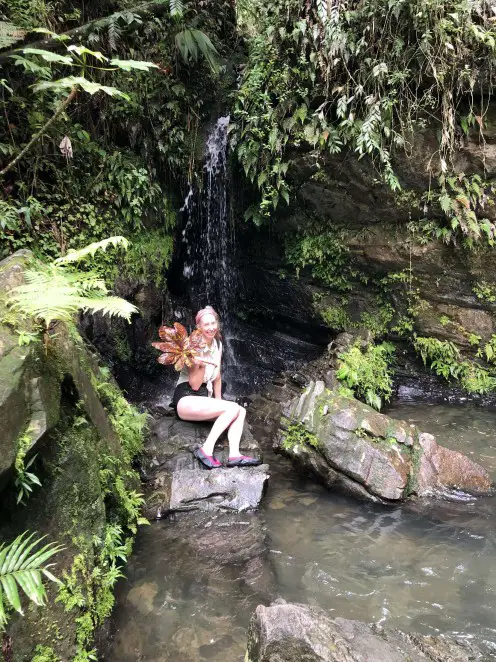 holding a leaf and looking at waterfall at Juan Diego Falls Instagram Photo in Puerto Rico