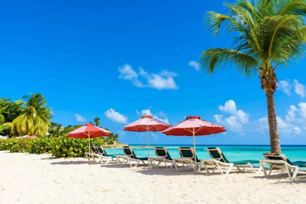 lounge chairs and umbrellas on a sandy beach in Barbados on a bucket list caribbean trip