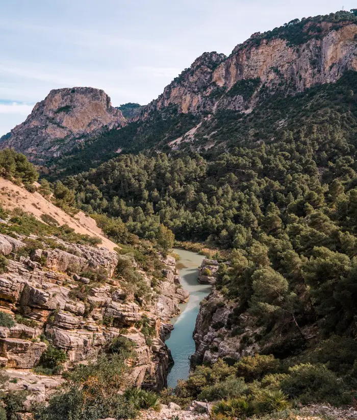 stream running through trees at caminito-del-rey-spain