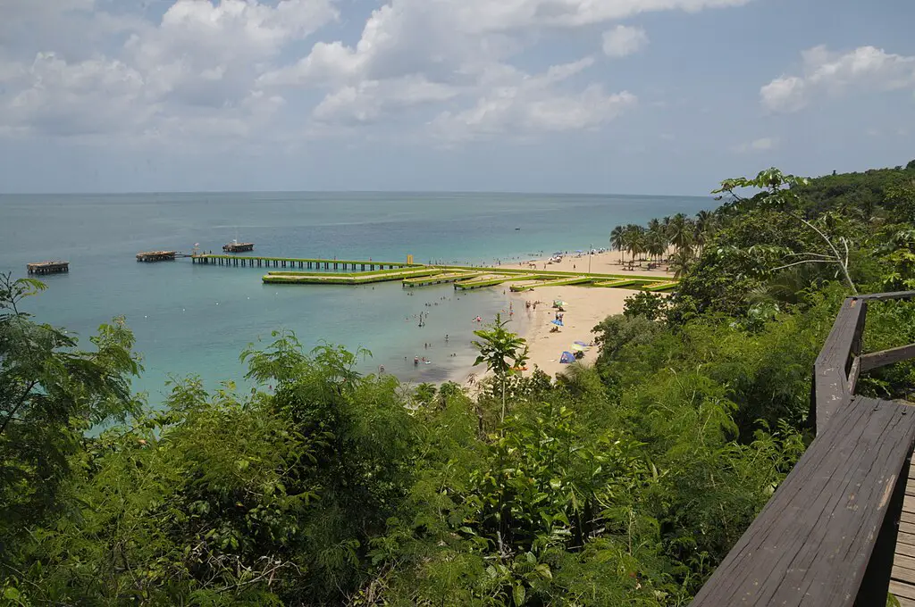 treeline with beach and pier and boats in the distance