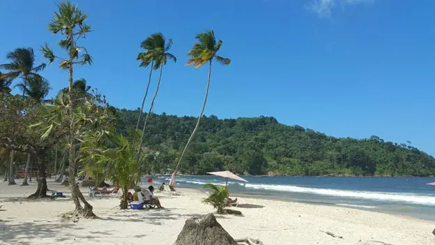 sand and water with some palm trees at Maracas Beach in Trinidad and Tobago
