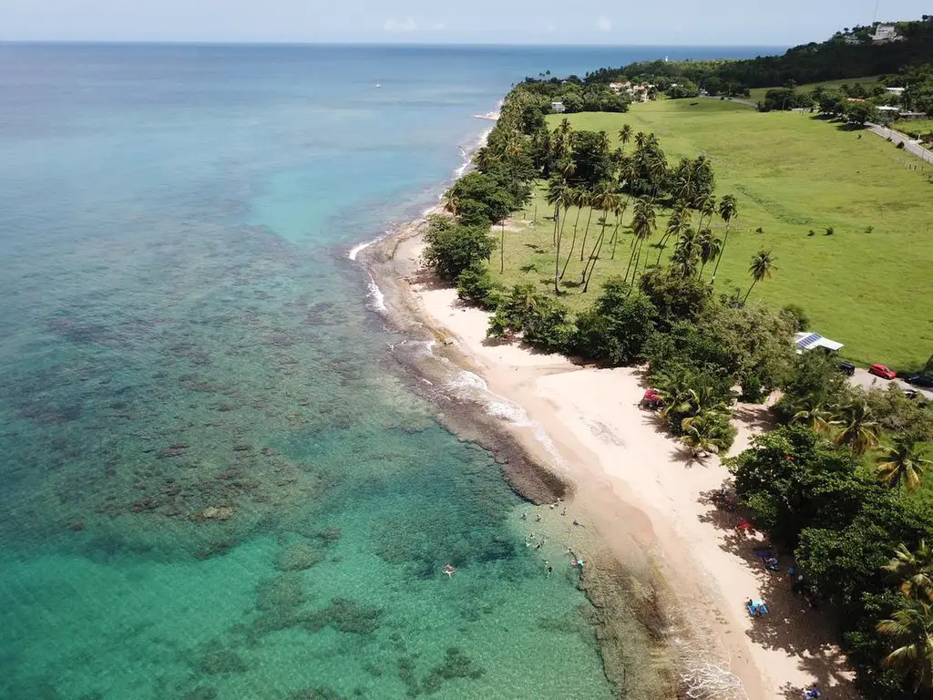 high view of a beach coast with a tree line