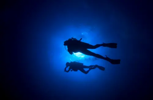 in dark blue water silouette of scuba divers- Canva