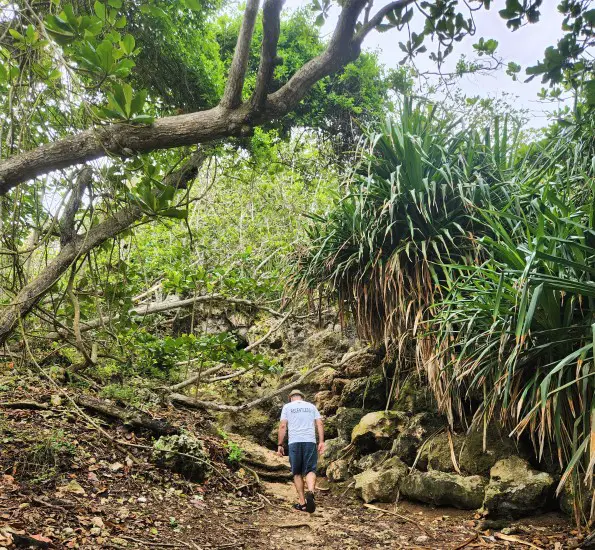 man taking a walk on a dirt path between some trees in Puerto Rico