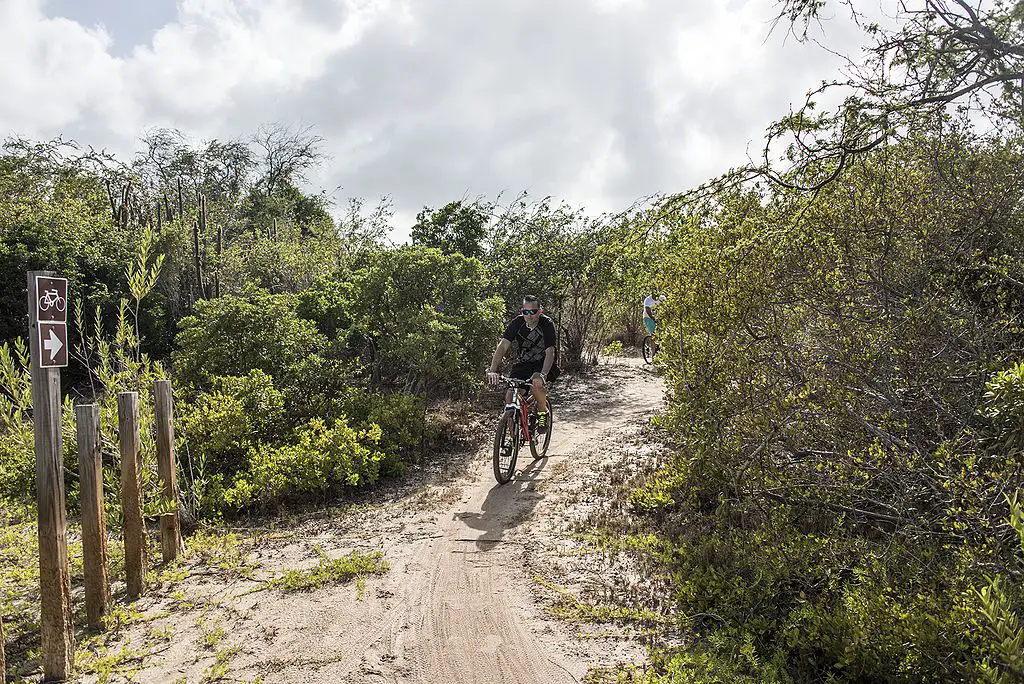 man riding a bike on a dirt path