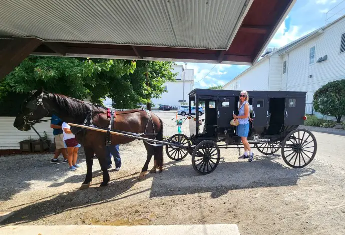 Lady standing on the outside of an Amish horse and buggy